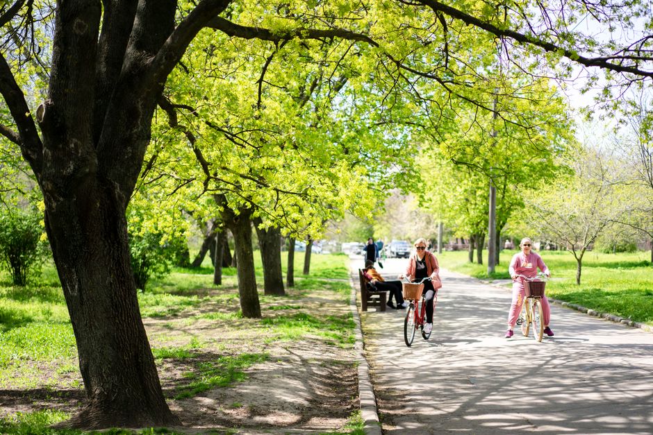 8 tips om deze zomer in Breda te beleven